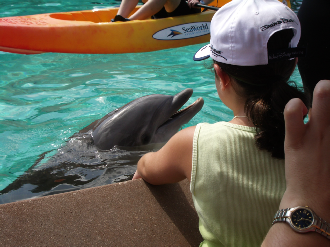 Disney 2005